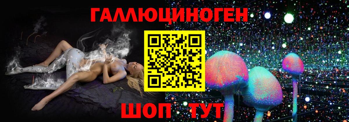 Псилоцибиновые грибы Cubensis Гуково