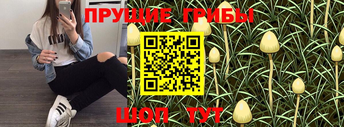 Гуково  Псилоцибиновые грибы Cubensis  Вход с VPN 